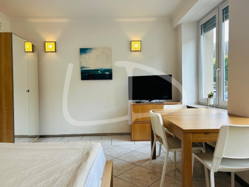 WhatsApp Image 2024-11-21 at 14.42.44.jpeg